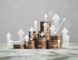 Business financial management